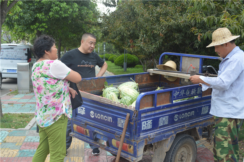 2016��7��27���P�_(t��i)�h��������(w��)���޹�˾���(ji��n)�����P�_(t��i)�h�����T(m��n)��?f��)��еı����ˆT��ȥ���